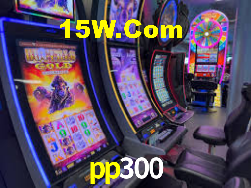 Premium Interface pp300